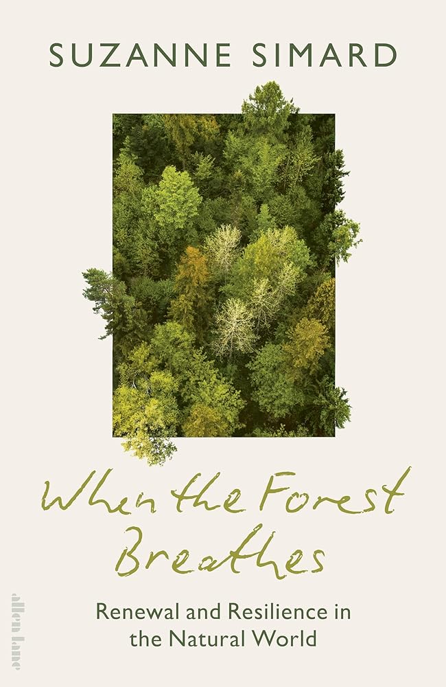 When the Forest Breathes: Renewal and Resilience in the Natural World cover image