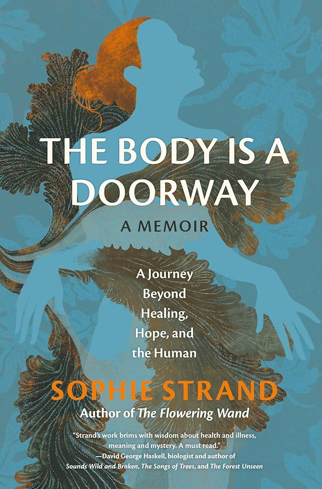 The Body Is a Doorway: A Memoir: A Journey Beyond Healing, Hope, and the Human cover image