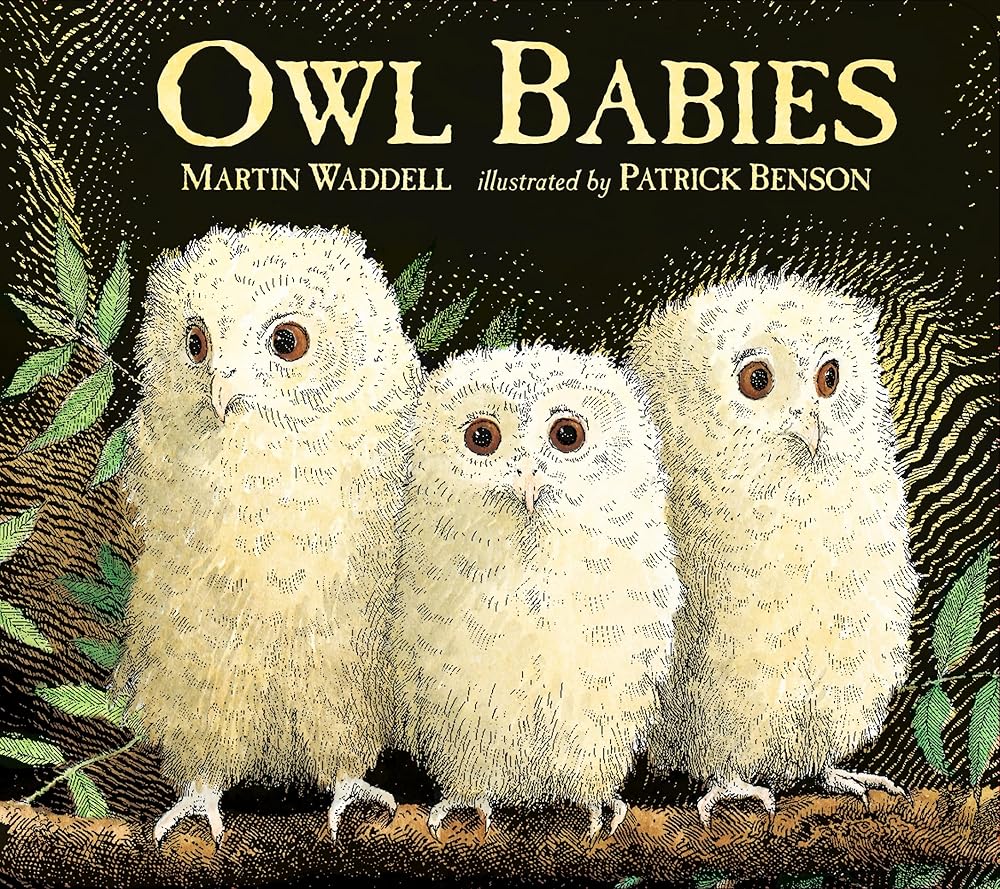 Owl Babies cover image