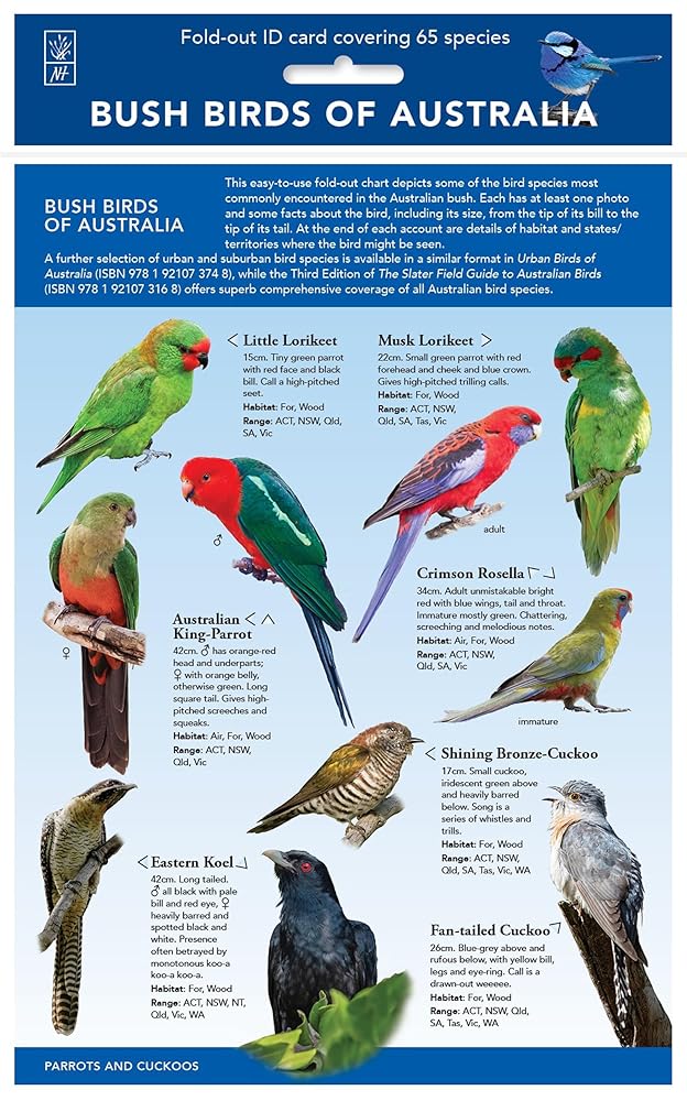 Bush Birds of Australia cover image
