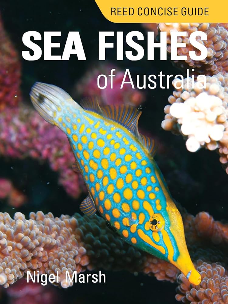 Reed Concise Guide Sea Fishes of Australia cover image