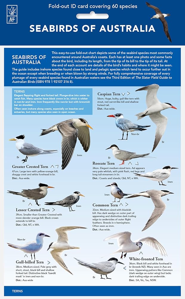 Seabirds of Australia cover image