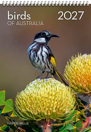 2027 Birds of Australia Wall Calendar cover image