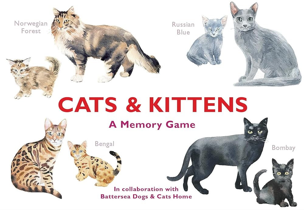 Cats & Kittens: A Memory Game cover image
