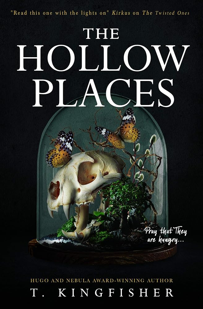 The Hollow Places cover image