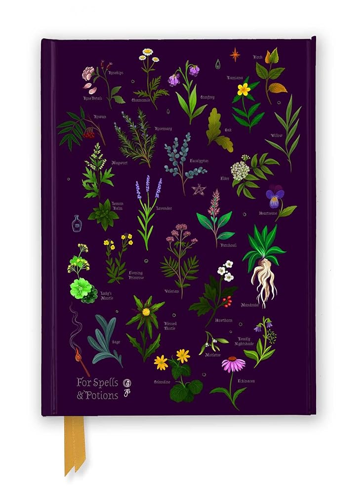 Anna Stead: For Spells & Potions (Foiled Journal) (Flame Tree Notebooks) cover image