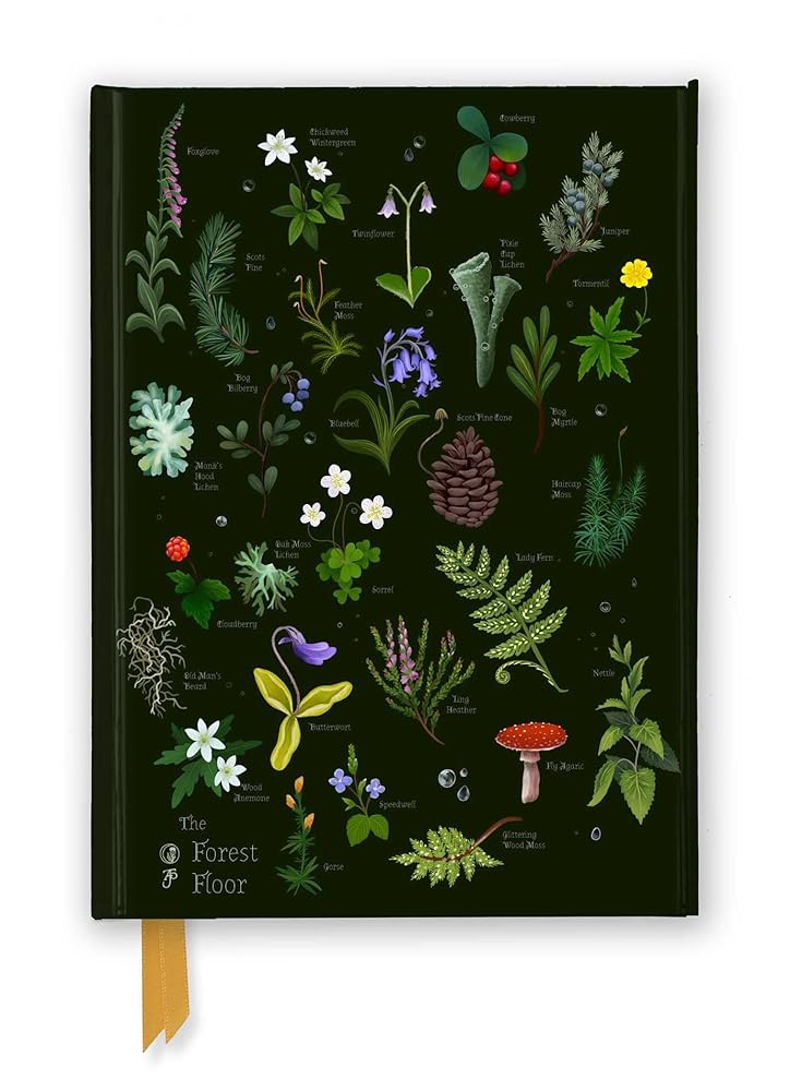 Anna Stead: The Forest Floor (Foiled Journal) (Flame Tree Notebooks) cover image