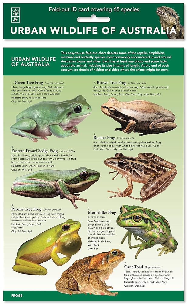 Urban Wildlife of Australia cover image