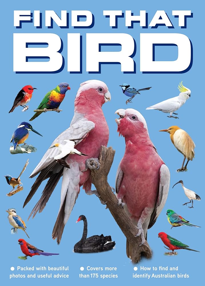 Find That Bird cover image