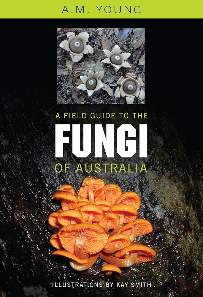 A Field Guide to the Fungi of Australia - 9780868407425 - Tony Young - University of New South Wales Press - The Little Lost Bookshop