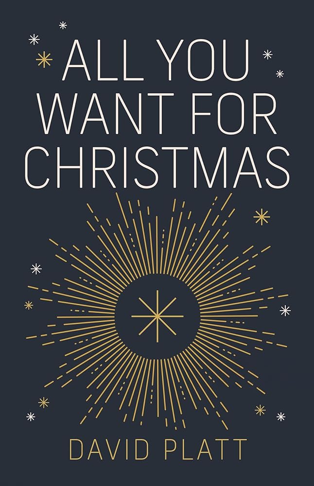 All You Want For Christmas - 9781837280698 - David Platt - 10Publishing - The Little Lost Bookshop