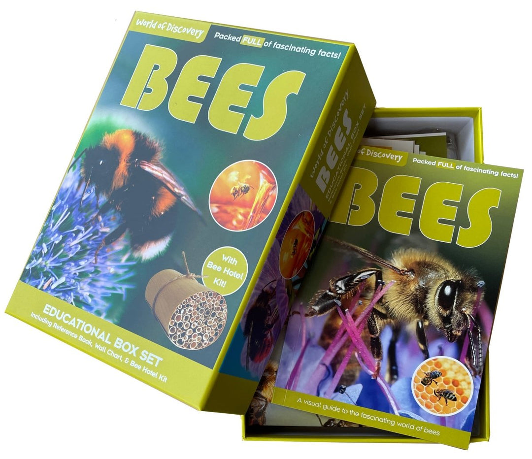 Bees Educational Box set - 5740 - Science and Nature - The Little Lost Bookshop