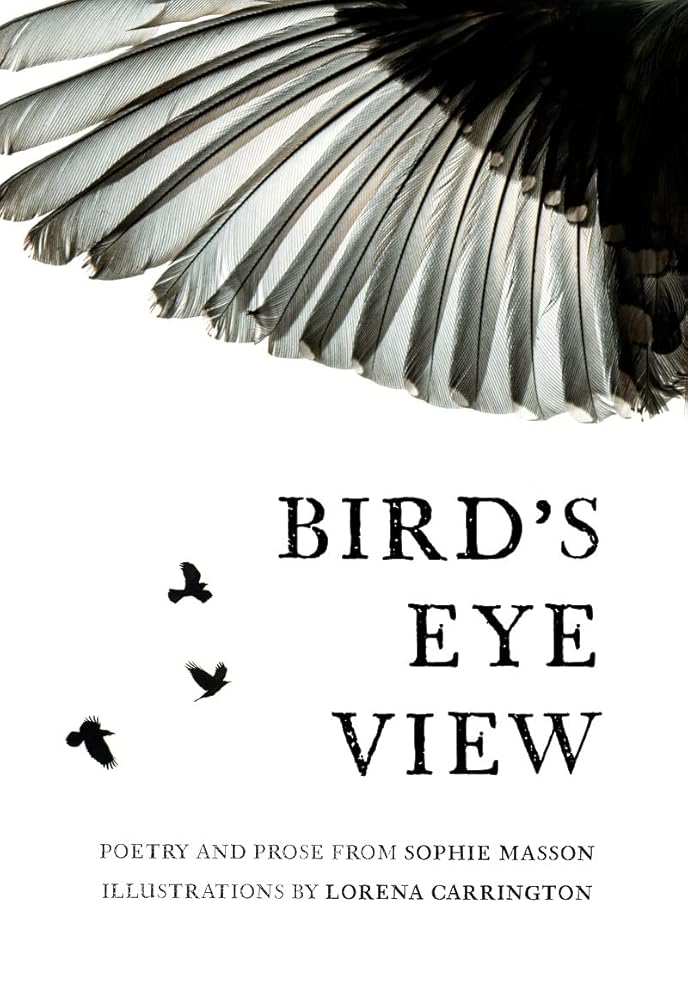 Bird's Eye View - 9780645563405 - SOPHIE MASSON - Pardalote Press - The Little Lost Bookshop
