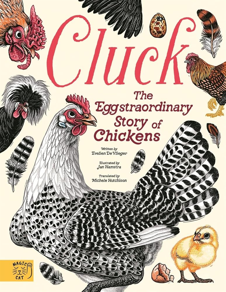 Cluck!: The Eggstraordinary Story of Chickens - 9781917366588 - Evelien De Vlieger, Jan Hamstra - Magic Cat Publishing - The Little Lost Bookshop