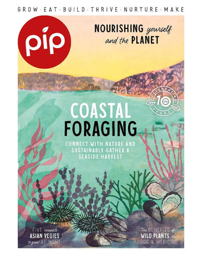 Coastal Foraging - 9772203466006 - Magazine - Pip Magazine - The Little Lost Bookshop