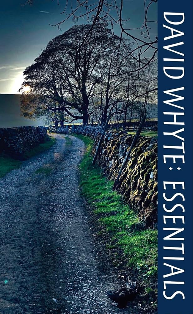 David Whyte Essentials - 9781932887501 - David Whyte - Many Rivers Press - The Little Lost Bookshop