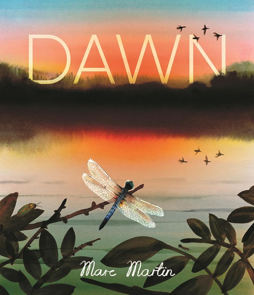 Dawn: Watch the World Awaken - 9781529527346 - Marc Martin - Walker Books Ltd - The Little Lost Bookshop