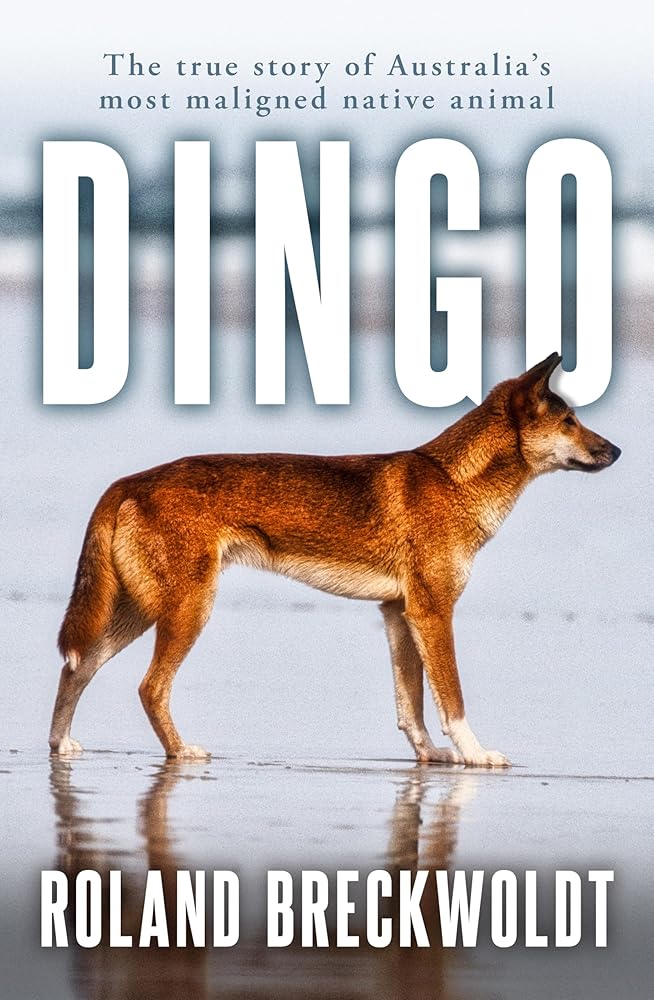 Dingo: The true story of Australia's most maligned native animal - 9781761471179 - Roland Breckwoldt - Allen & Unwin - The Little Lost Bookshop