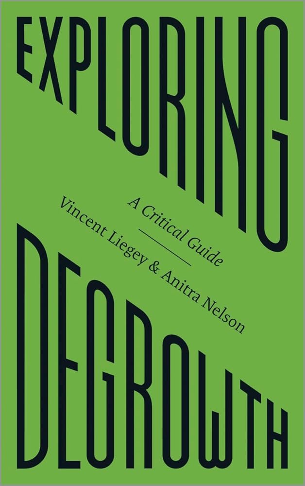 Exploring Degrowth: A Critical Guide (FireWorks) - 9780745342023 - Vincent Liegey, Anitra Nelson - Pluto Press - The Little Lost Bookshop