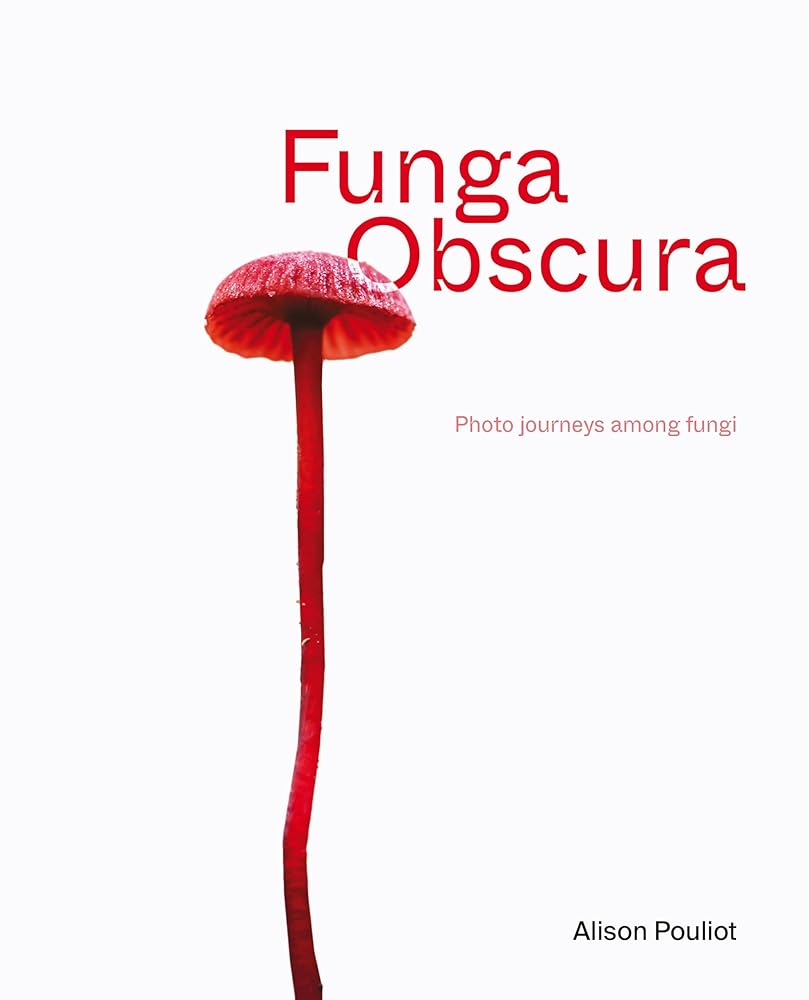 Funga Obscura: Photo journeys among fungi - 9781761170126 - Alison Pouliot - NewSouth - The Little Lost Bookshop