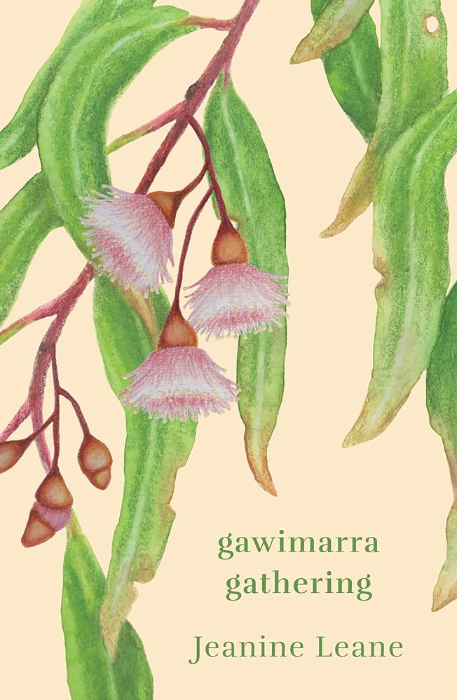 Gawimarra - 9780702266324 - unknown author - UQP - The Little Lost Bookshop