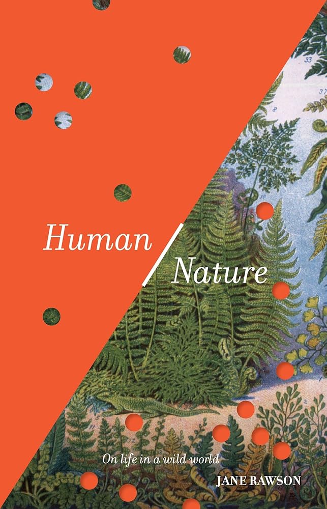 Human/Nature: On life in a wild world - 9781761170010 - Jane Rawson - NewSouth - The Little Lost Bookshop