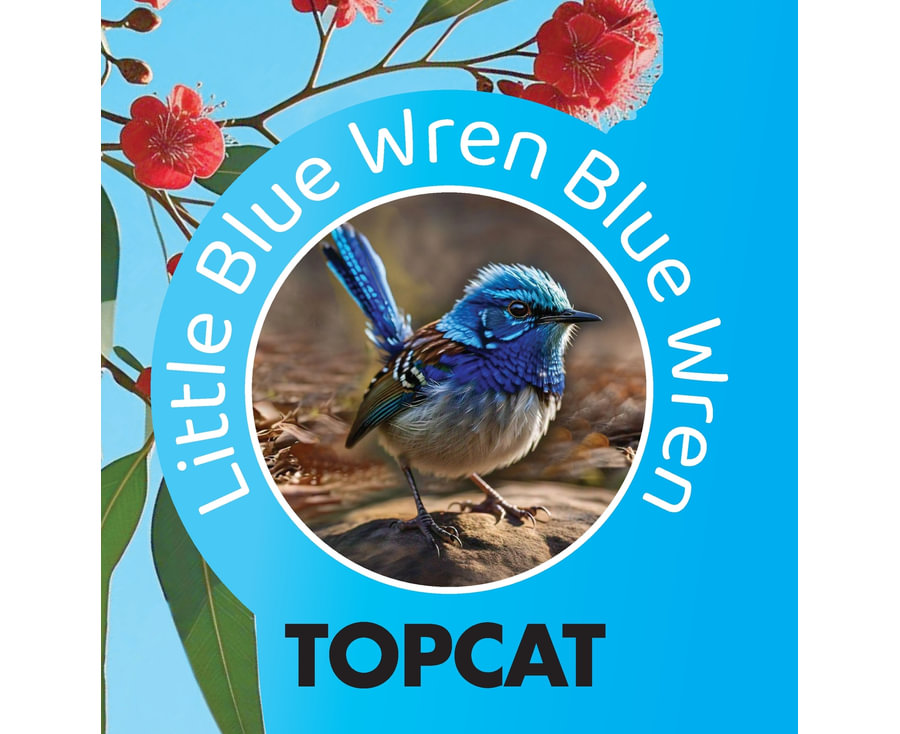 Little Blue Wren Blue Wren