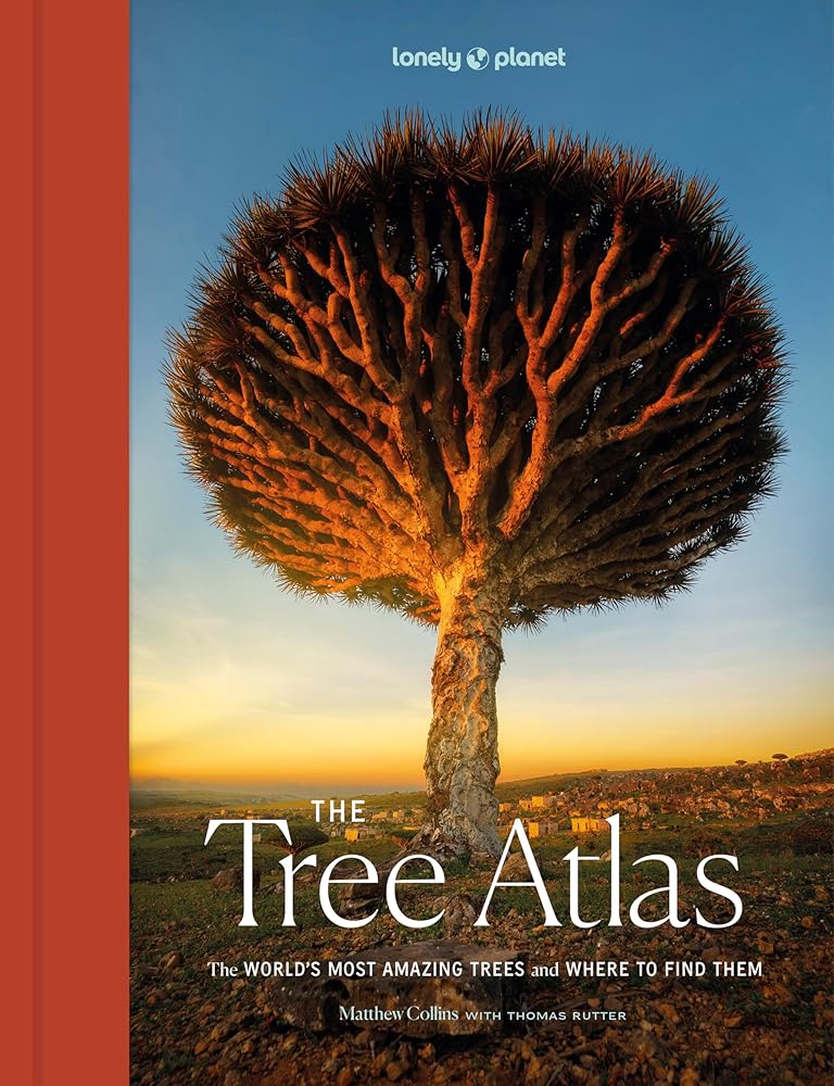Lonely Planet The Tree Atlas - 9781837582679 - Lonely Planet, Matthew Collins - Lonely Planet - The Little Lost Bookshop