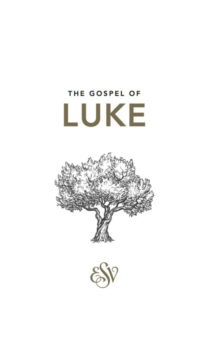 Luke's Gospel (ESV) - 9781873166376 - ESV - The Good Book Company - The Little Lost Bookshop