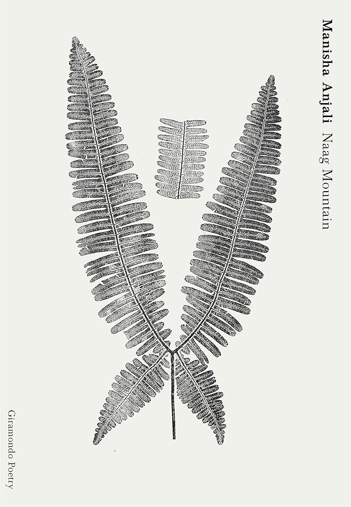Naag Mountain - 9781925818994 - Manisha Anjali - Giramondo Publishing - The Little Lost Bookshop