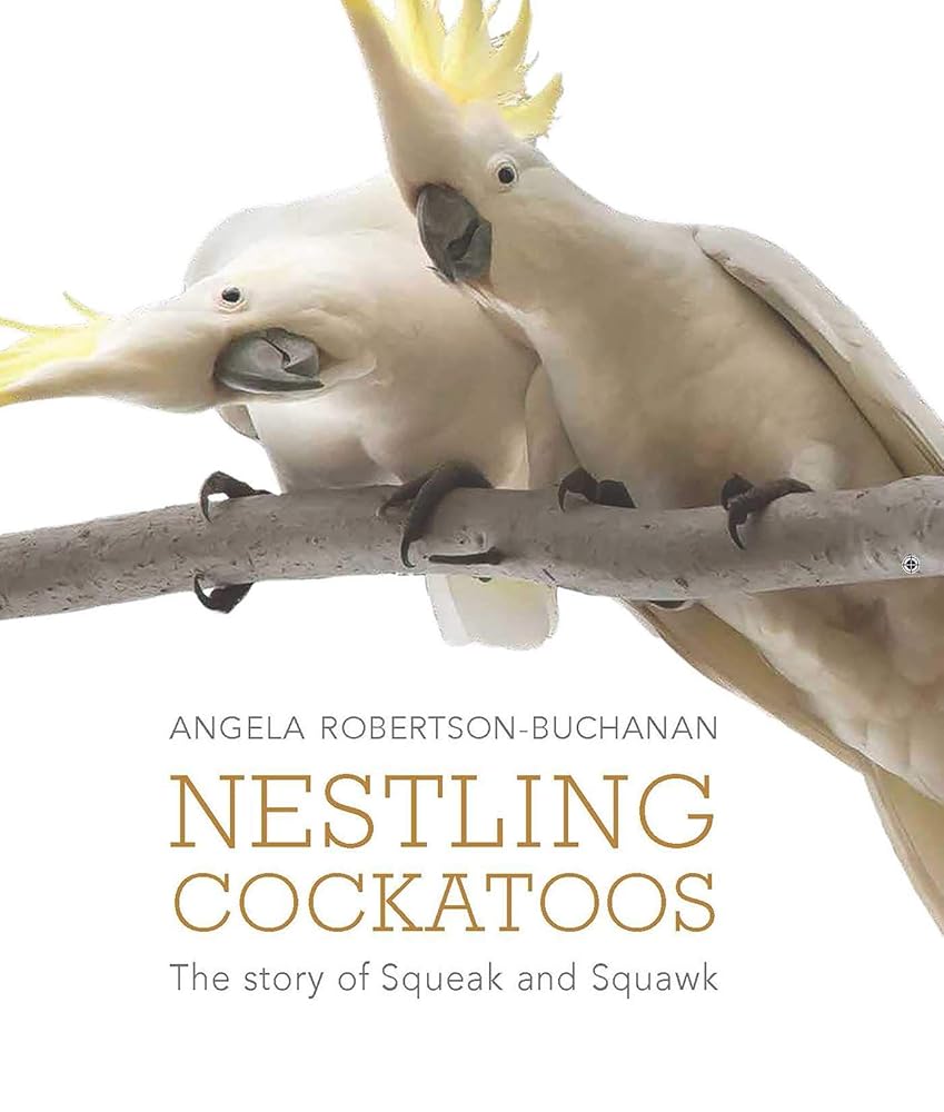Nestling Cockatoos: The Story of Squeak and Squawk - 9781742036076 - Angela Robertson - Buchanan - Wild Dog - The Little Lost Bookshop