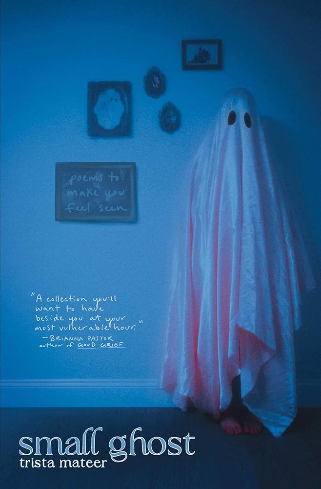 Small Ghost - 9781771683869 - Trista Mateer - Central Avenue Poetry - The Little Lost Bookshop