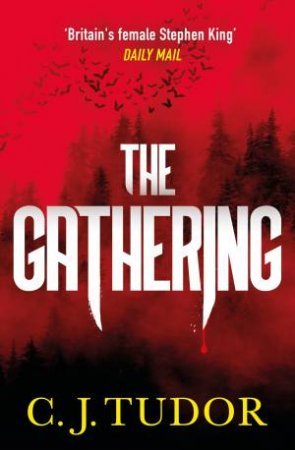 The Gathering - 9780241486276 - Tudor, C. J. - Penguin UK - The Little Lost Bookshop