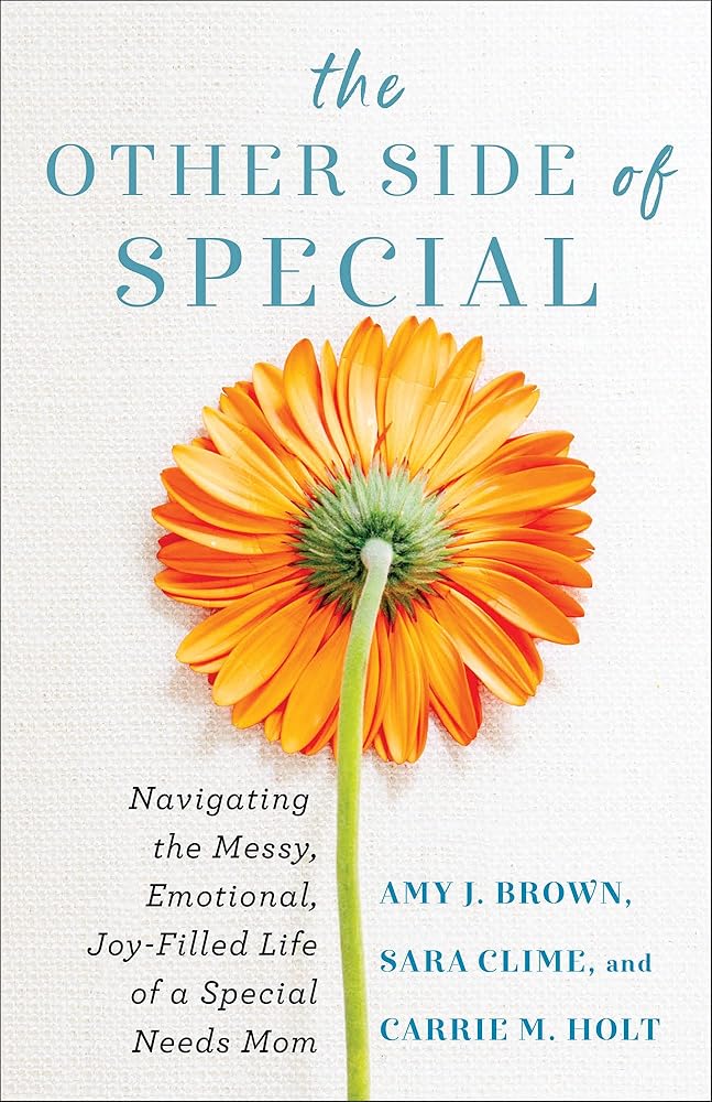 The Other Side of Special: Navigating the Messy, Emotional, Joy - Filled Life of a Special Needs Mom - 9780800742119 - Amy J Brown, Sara Clime, Carrie M Holt - Revell - The Little Lost Bookshop