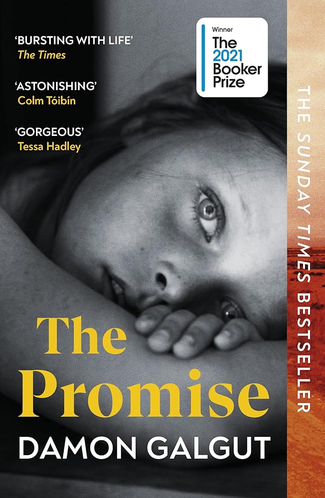 The Promise - 9781529113877 - Damon Galgut - Vintage Arrow - The Little Lost Bookshop