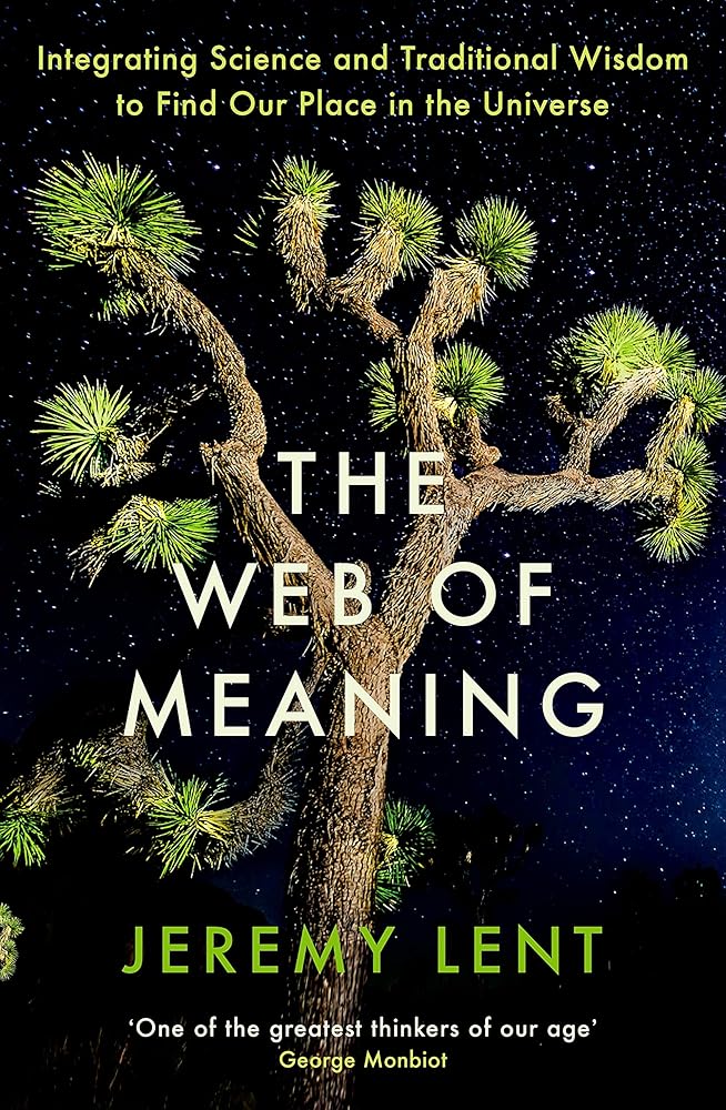 The Web of Meaning: Integrating Science and Traditional Wisdom to Find Our Place in the Universe - 9781788165655 - Jeremy Lent - Profile Books Ltd - The Little Lost Bookshop