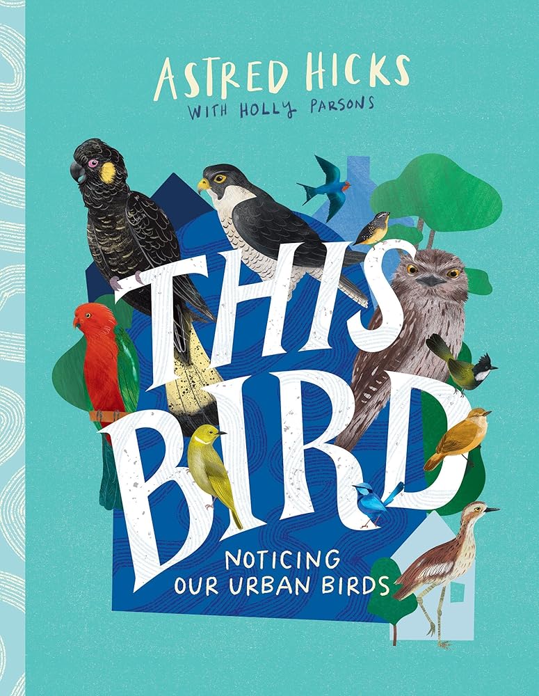 This Bird: Noticing Our Urban Birds - 9781486318452 - Astred Hicks, Holly Parsons - CSIRO Publishing - The Little Lost Bookshop