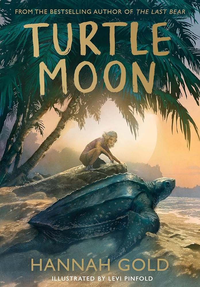 Turtle Moon - 9780008582050 - Hannah Gold, Levi Pinfold - HarperCollins - The Little Lost Bookshop