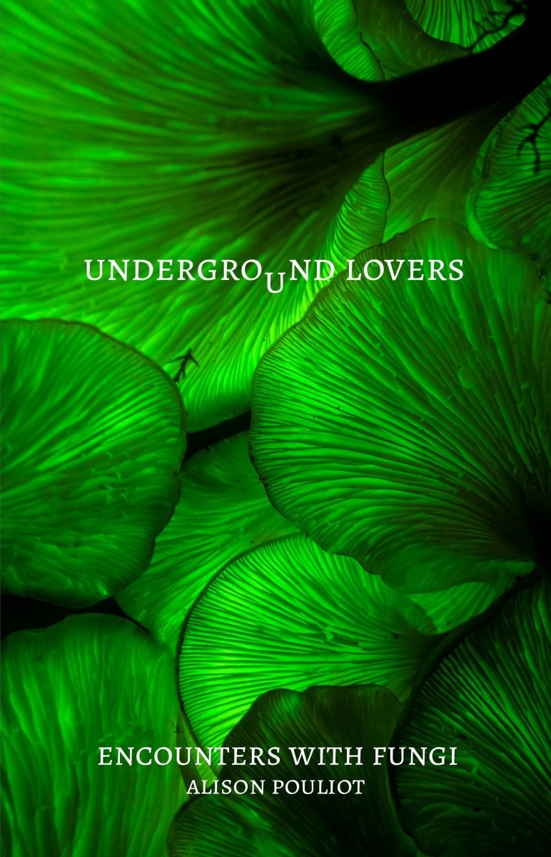 Underground Lovers - 9781742237664 - Pouliot, Alison - NewSouth Publishing - The Little Lost Bookshop