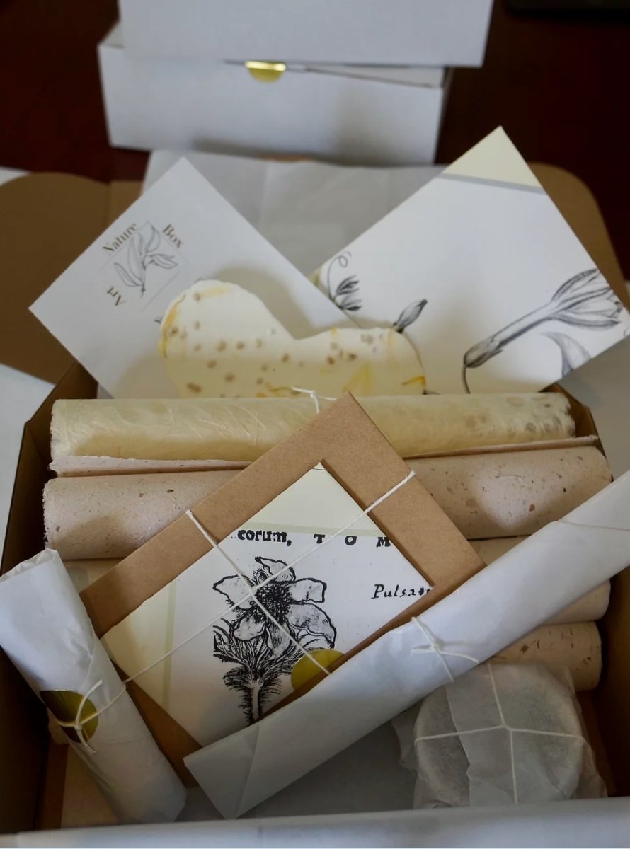 Art Therapy Nature Box - 7741919426501 - Art Nature Box - Art Nature Box - The Little Lost Bookshop