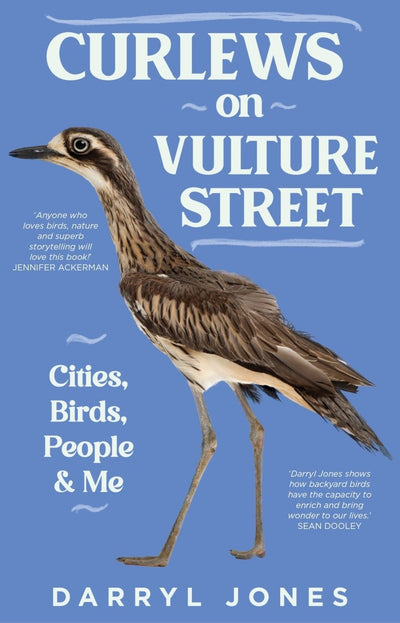 Curlews on Vulture Street - 9781742237367 - Darryl Jones - NewSouth Publishing - The Little Lost Bookshop