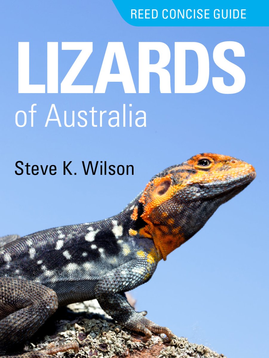 Reed Concise Gd-Lizards of Australia - 9781925546576 - Steve Wilson - New Holland Publishers - The Little Lost Bookshop
