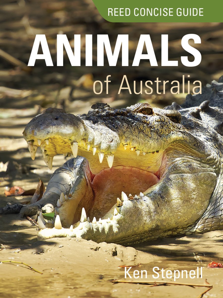 Reed Concise Guide Animals of Australia - 9781921517549 - Ken Stepnell - New Holland Publishers - The Little Lost Bookshop