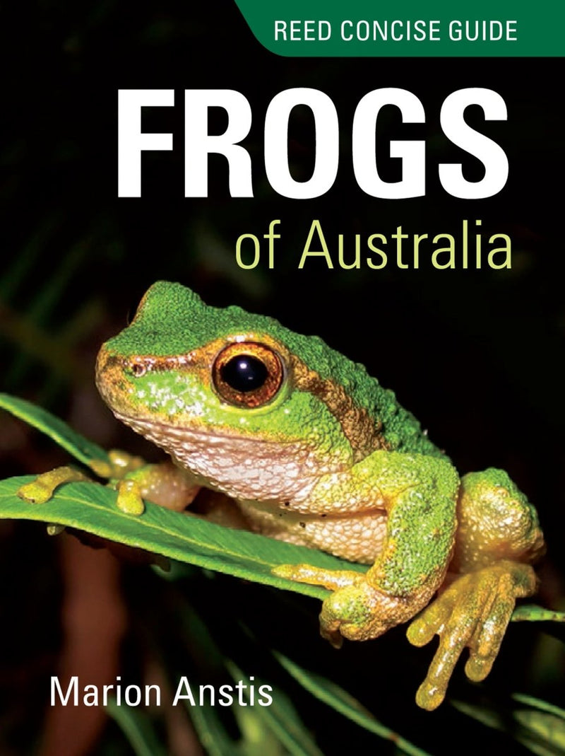 Reed Concise Guide Frogs of Australia - 9781921517907 - Marion Anstis - New Holland Publishers - The Little Lost Bookshop