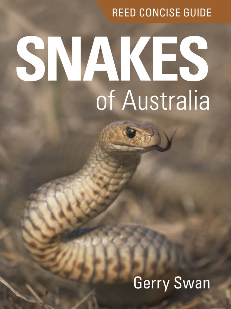 Reed Concise Guide: Snakes of Australia - 9781921517891 - Gerry Swan - New Holland Publishers - The Little Lost Bookshop