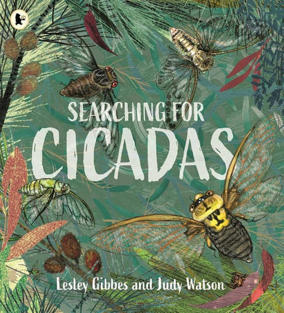 Searching for Cicadas - 9781760653965 - Lesley Gibbes - Walker Books Australia - The Little Lost Bookshop