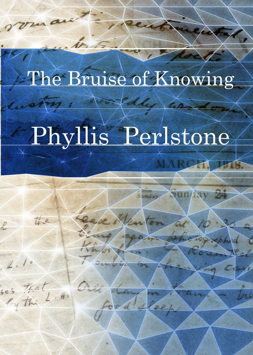 The Bruise of Knowing - 9781925780161 - Phyllis Perlstone - Puncher and Wattmann - The Little Lost Bookshop
