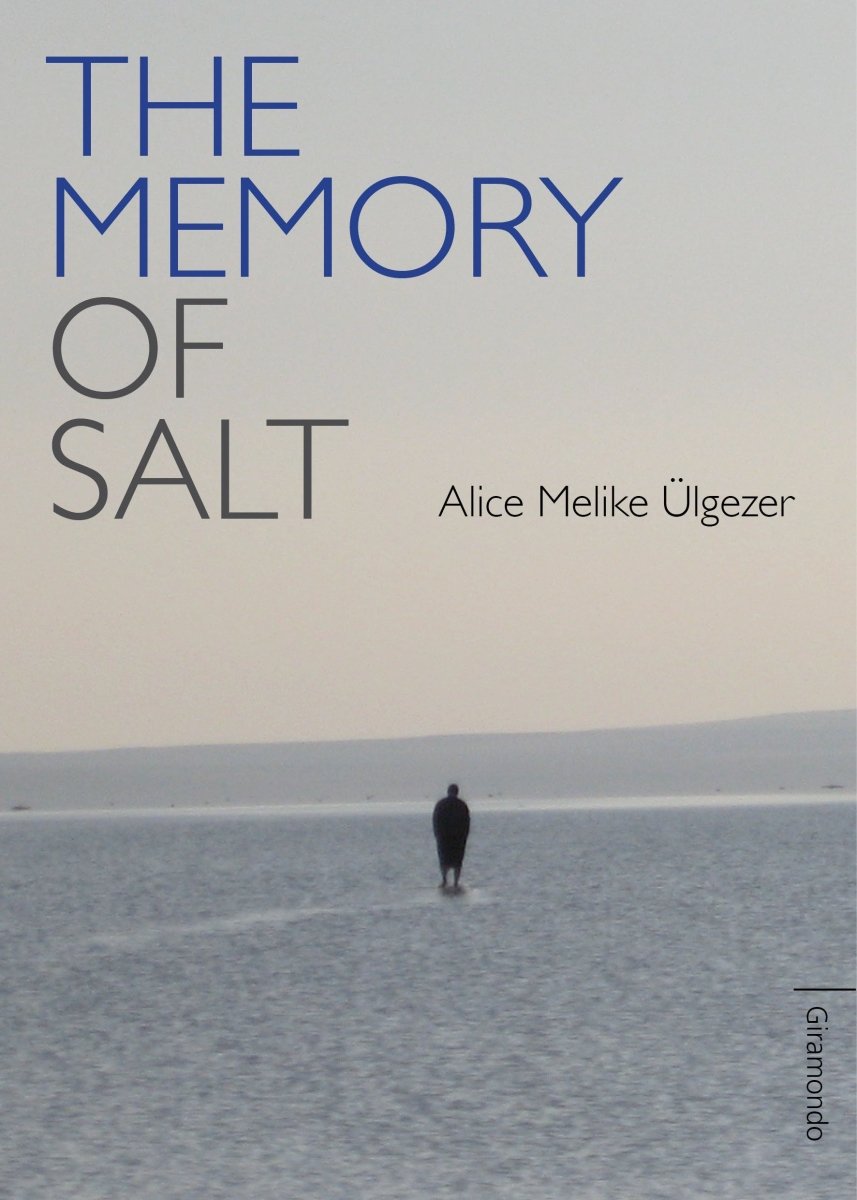 The Memory of Salt - 9781920882907 - Alice Melike Ulgezer - Giramondo Publishing - The Little Lost Bookshop