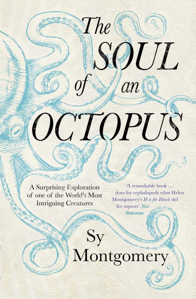 The Soul of an Octopus - 9781471146756 - Sy Montgomery - Simon & Schuster - The Little Lost Bookshop